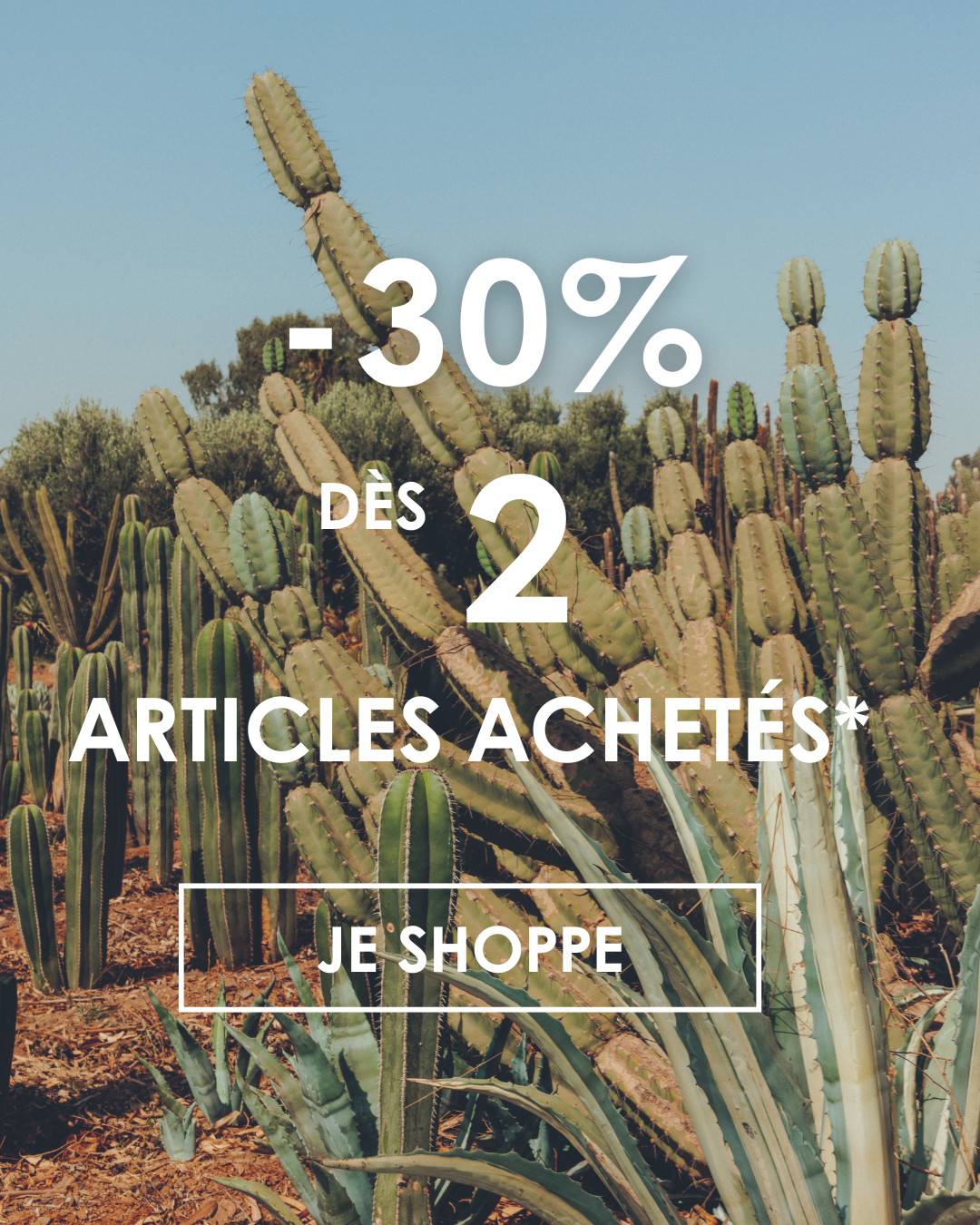 30% DES 2 ARTICLES ACHETES